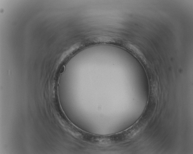 X0000062850395200601272046