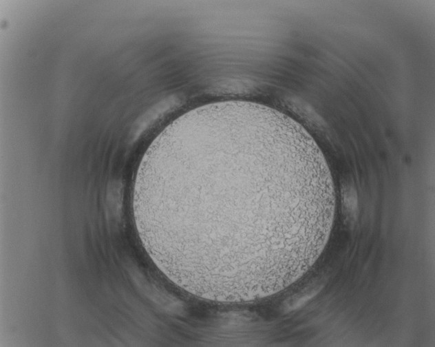 X0000062850396200601272046