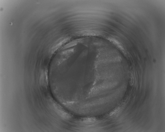 X0000062850398200601272046