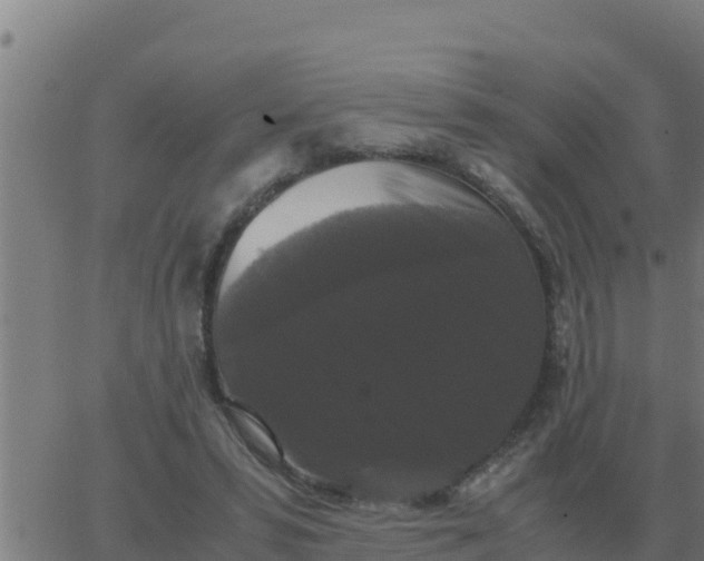 X0000062850399200601272046