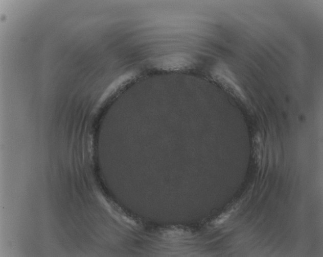 X0000062850400200601272046