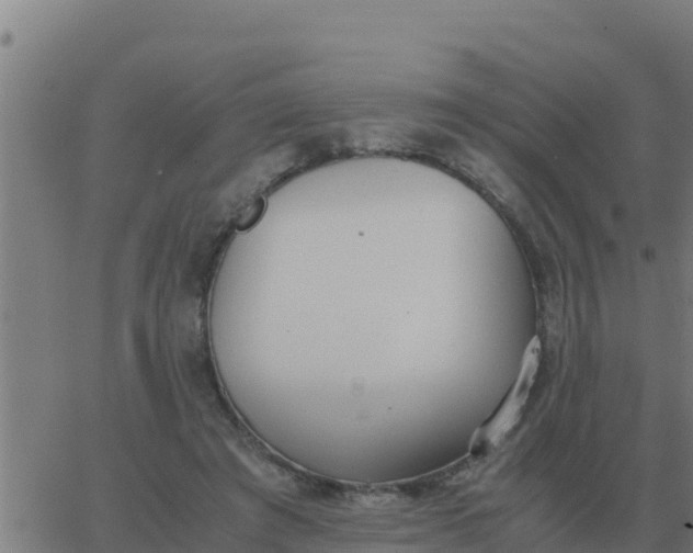 X0000062850401200601272046