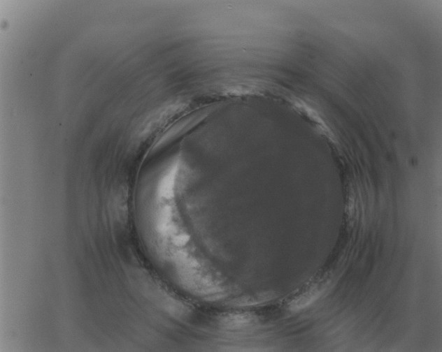 X0000062850402200601272046