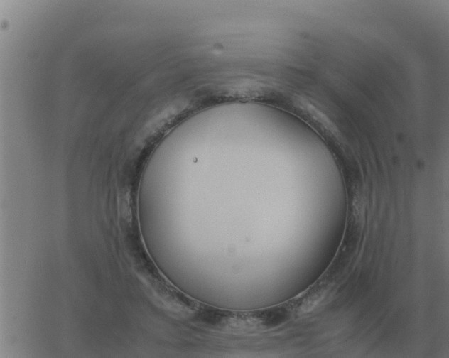 X0000062850403200601272046