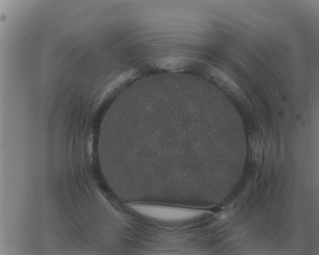 X0000062850404200601272046