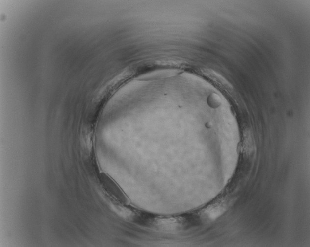 X0000062850405200601272046