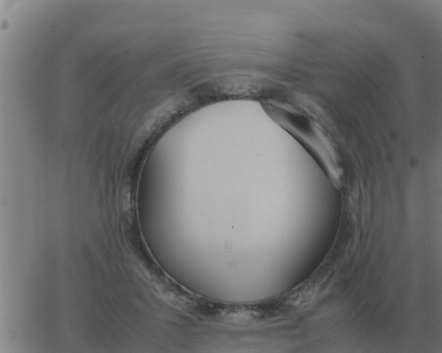 X0000062850407200601272046