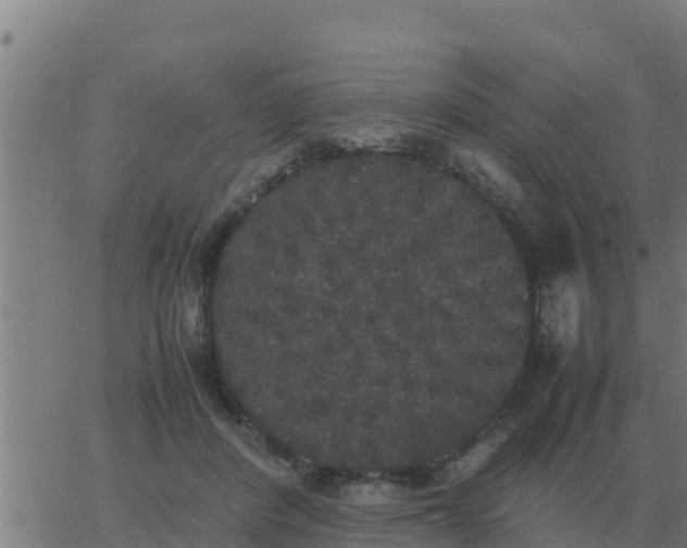 X0000062850408200601272046