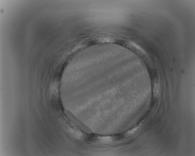 X0000062850409200601272046