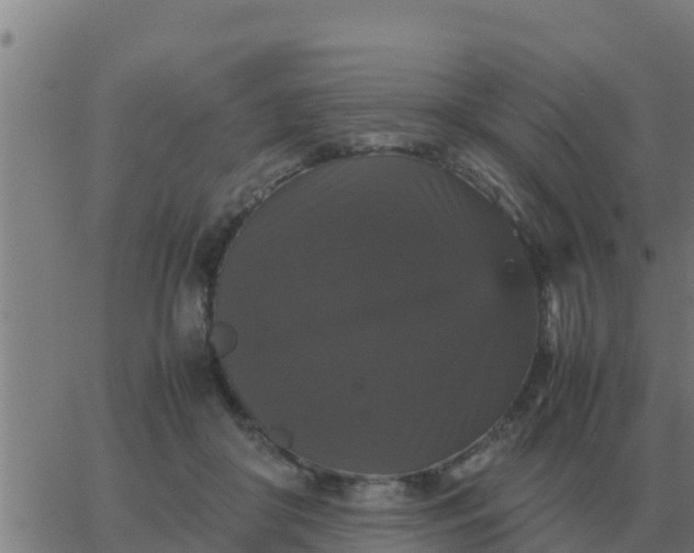 X0000062850410200601272046