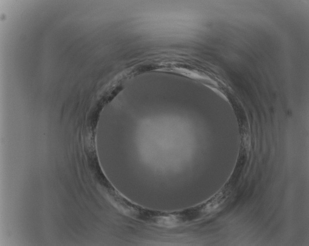 X0000062850411200601272046