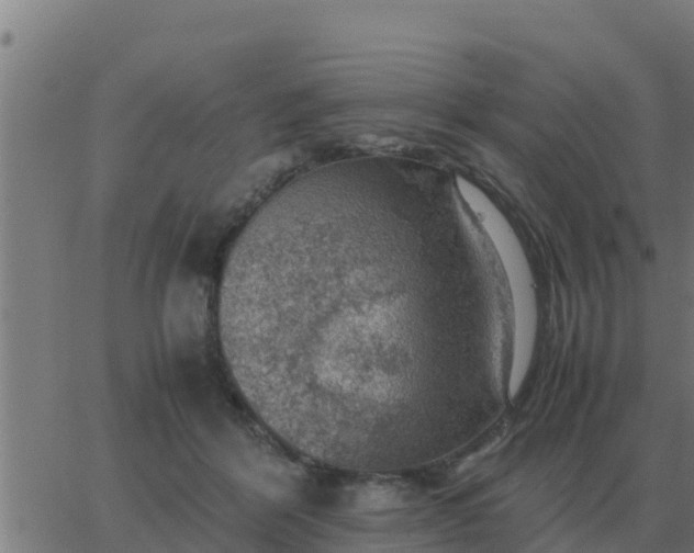 X0000062850412200601272046