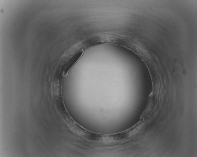 X0000062850413200601272046