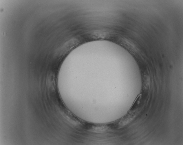 X0000062850414200601272046