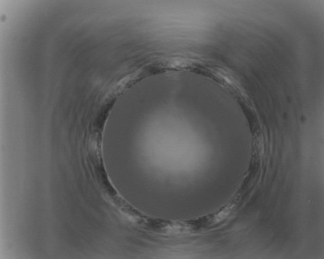 X0000062850415200601272046