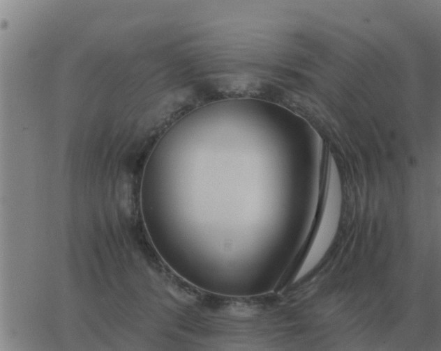 X0000062850416200601272046