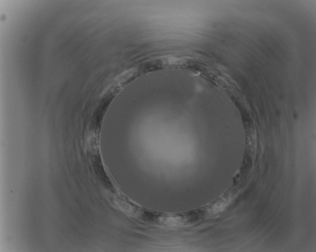 X0000062850419200601272046