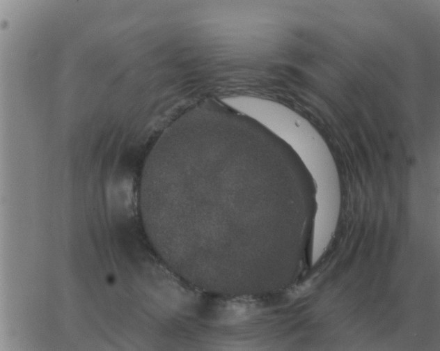 X0000062850420200601272046