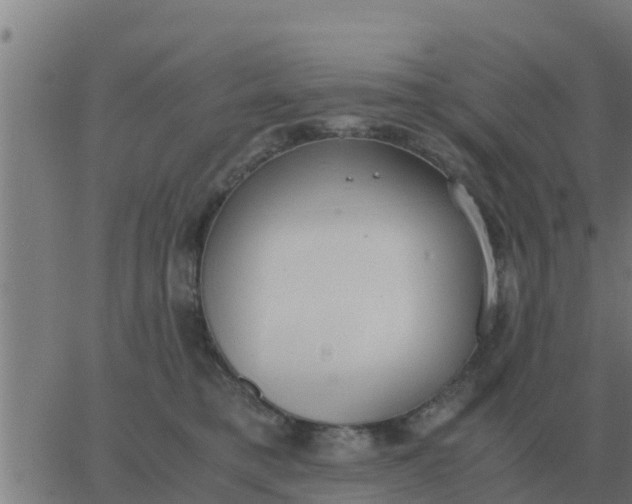 X0000062850421200601272046