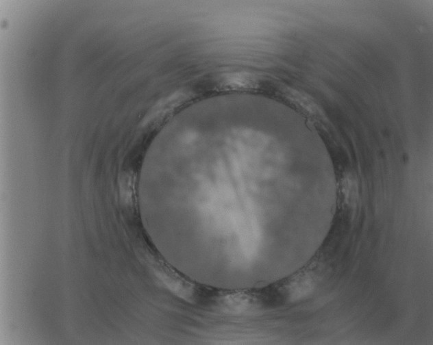 X0000062850423200601272046