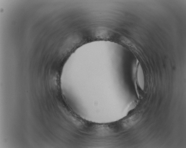 X0000062850424200601272046