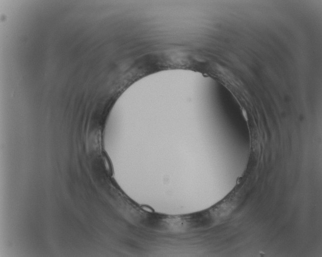 X0000062850425200601272046