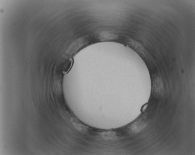 X0000062850426200601272046