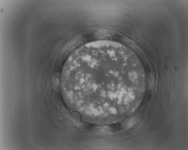 X0000062850427200601272046