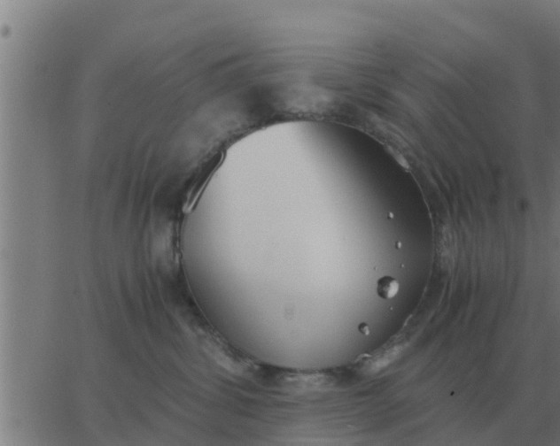 X0000062850428200601272046