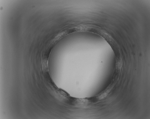 X0000062850429200601272046