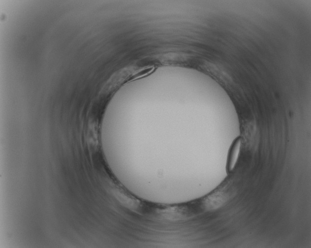 X0000062850430200601272046