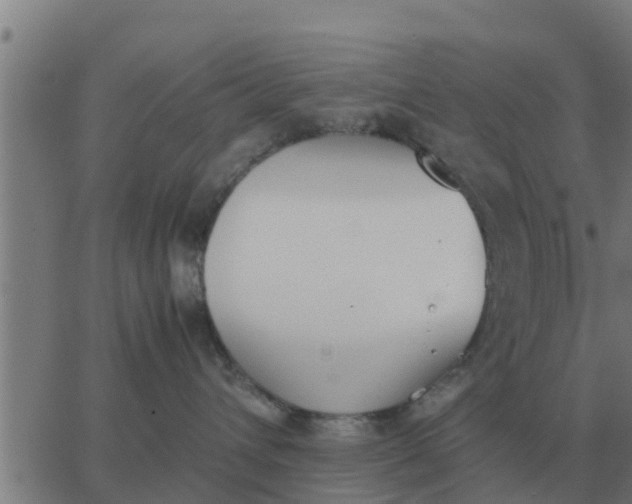 X0000062850432200601272046