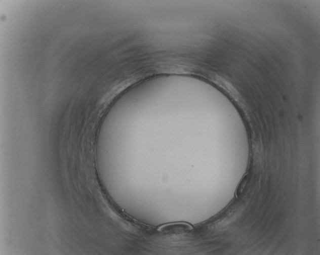 X0000062850433200601272045