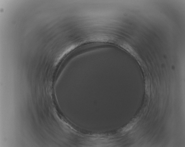 X0000062850434200601272045