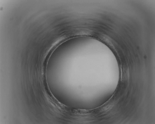 X0000062850435200601272045