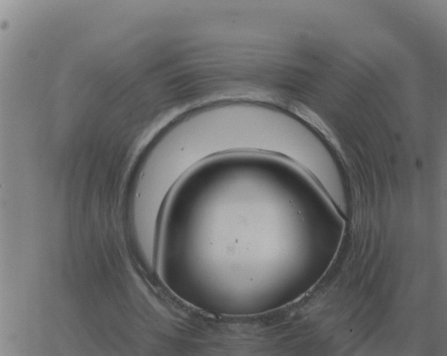 X0000062850436200601272045