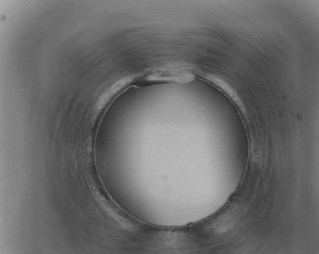 X0000062850437200601272045