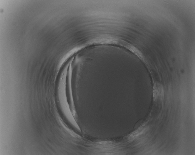 X0000062850438200601272045