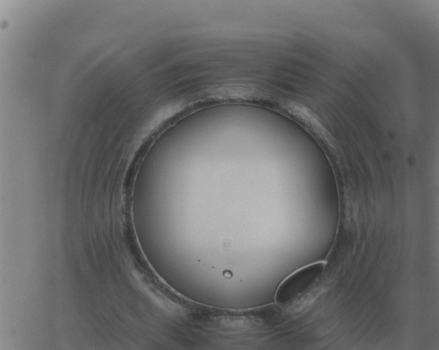 X0000062850439200601272045