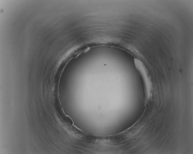 X0000062850440200601272045