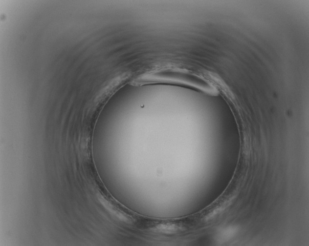 X0000062850441200601272045