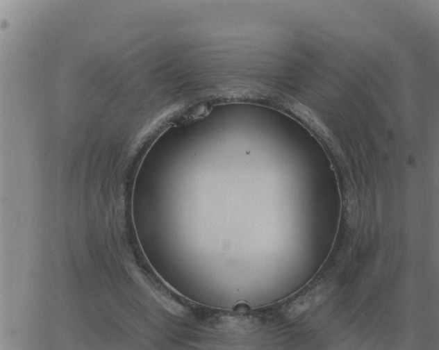 X0000062850442200601272045