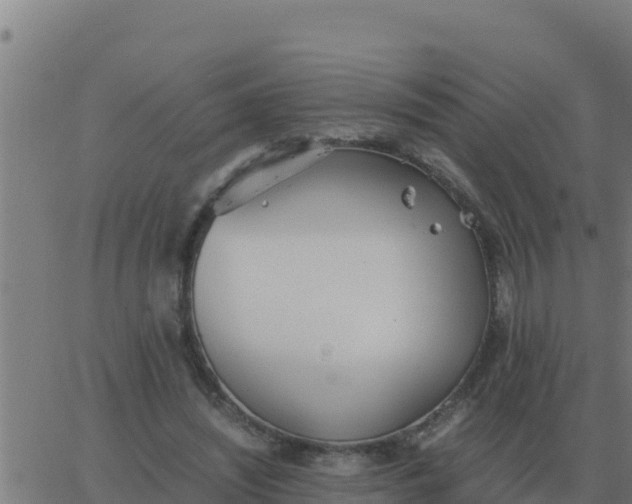 X0000062850444200601272045