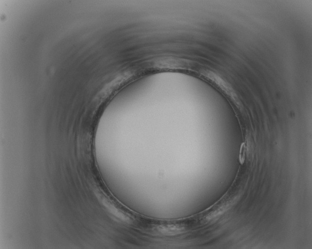 X0000062850445200601272045