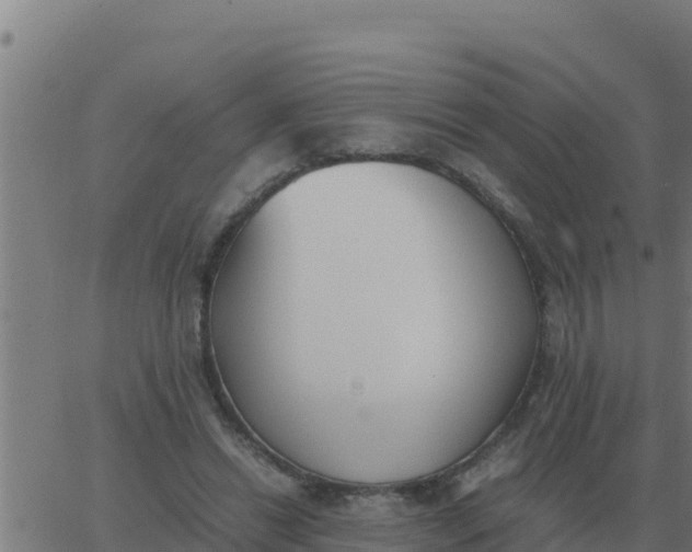 X0000062850446200601272045