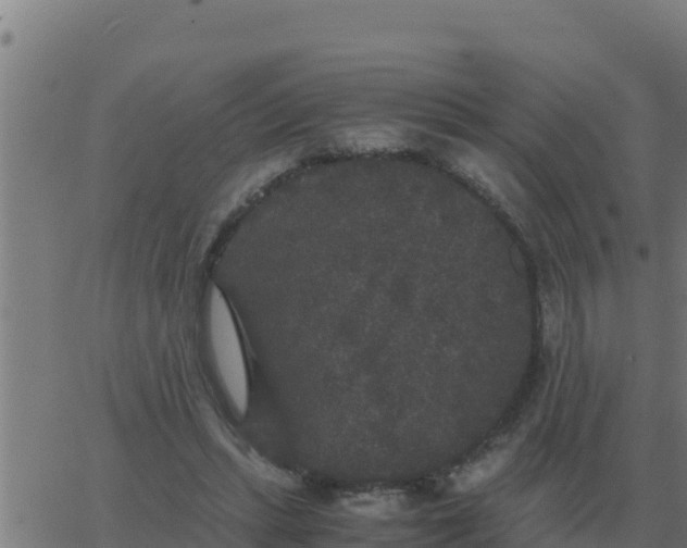 X0000062850447200601272045