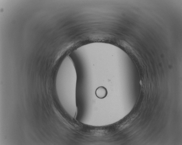 X0000062850448200601272045