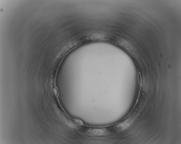 X0000062850449200601272045