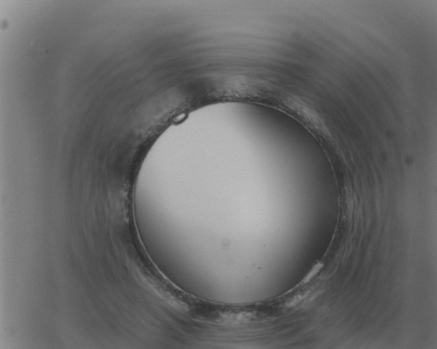 X0000062850450200601272045