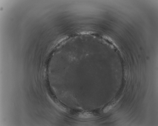 X0000062850451200601272045